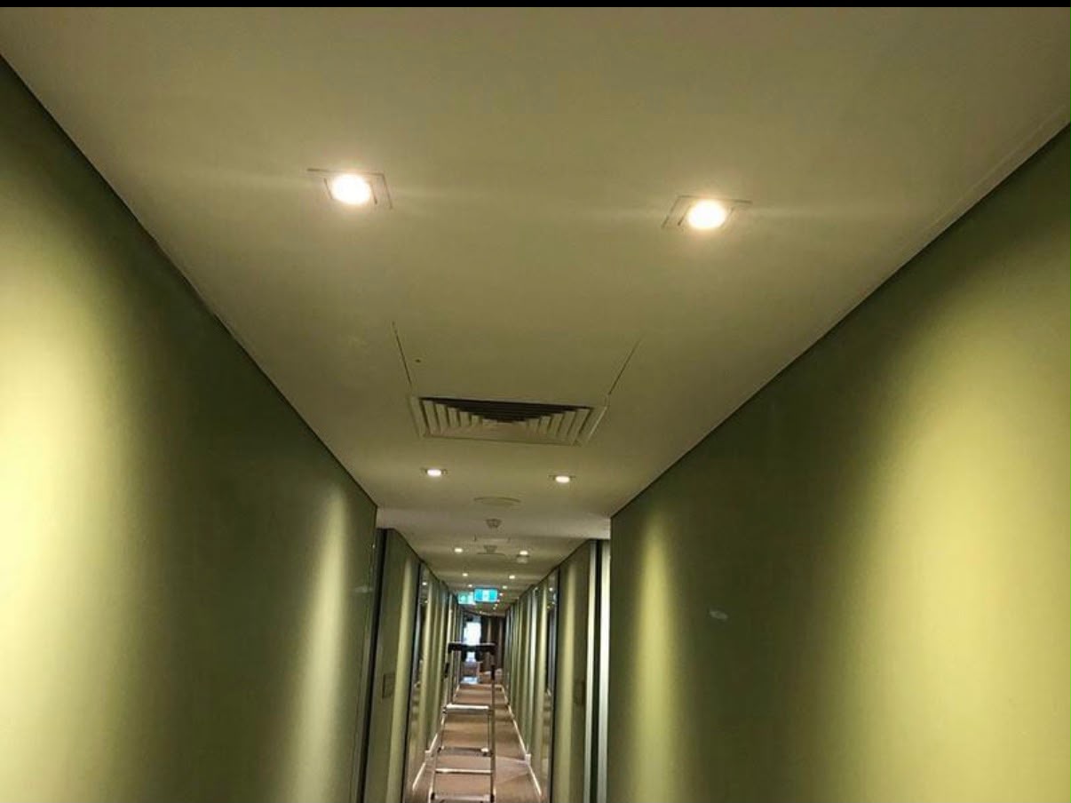 Designer Corridor Olive Feature Walls in Subiaco