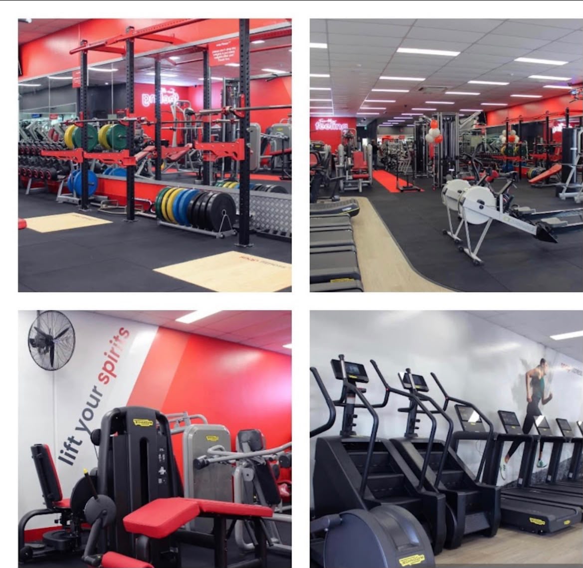 High-durability commercial gym interior painting with branded red accent walls